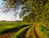 Der erste Boden- und Luftfrost am 15.10.2011