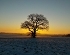 Sonnenaufgang mit Nebel am 25.01.2012