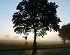 Sonnenaufgang wie im Bilderbuch am 27.06.2011
