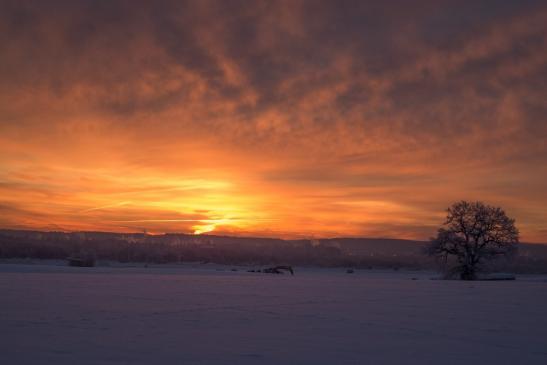 Sonnenaufgang bei eisiger Kälte am 13.12.2012