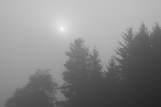 Dichter Nebel im Hochsommer am 17.08.2012