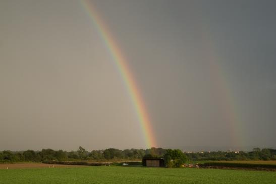 Gewitter mit Regenbogen im Abendlicht am 23.08.2012