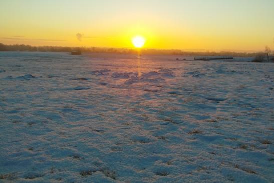 Sonnenaufgang im Winter am 25.01.2012