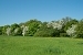 Der Frühling schreitet voran am 08.05.2013