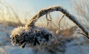 Winterbilder vom Monat Januar und Februar 2012
