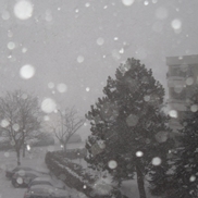 Kräftige Schneefälle zum Abschluss am 26.02.2013