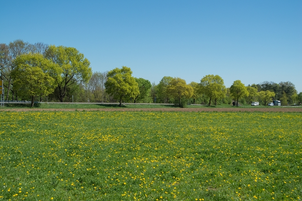 Natur ist ihrer Zeit um Wochen voraus am 07.04.2014