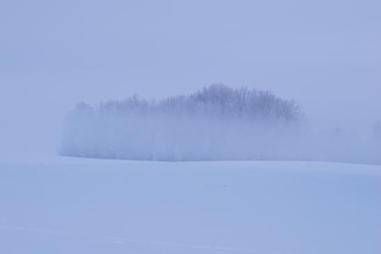 Teilweise dichter Bodennebel
