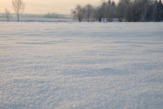 Direkt über der Schneedecke hat es unter -20 Grad