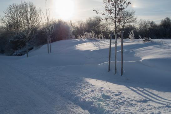 Schneeverwehungen der letzten Tage