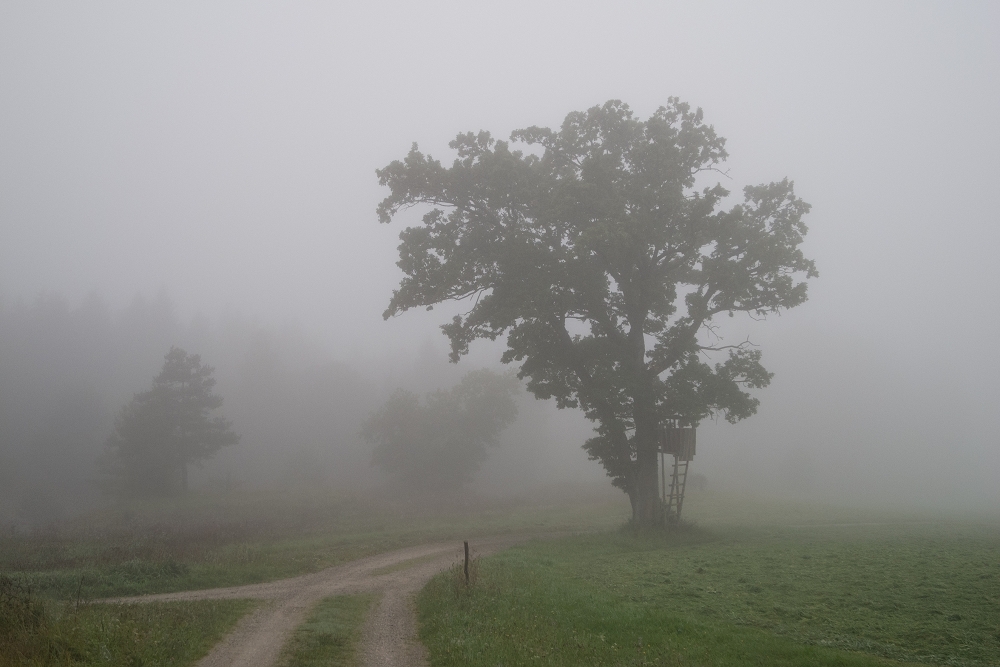 Hartnäckiger Nebel und Hochnebel am 17.09.2014
