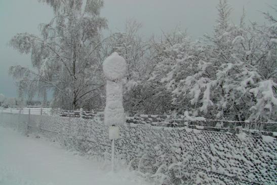 Fast alles ist schneebedeckt