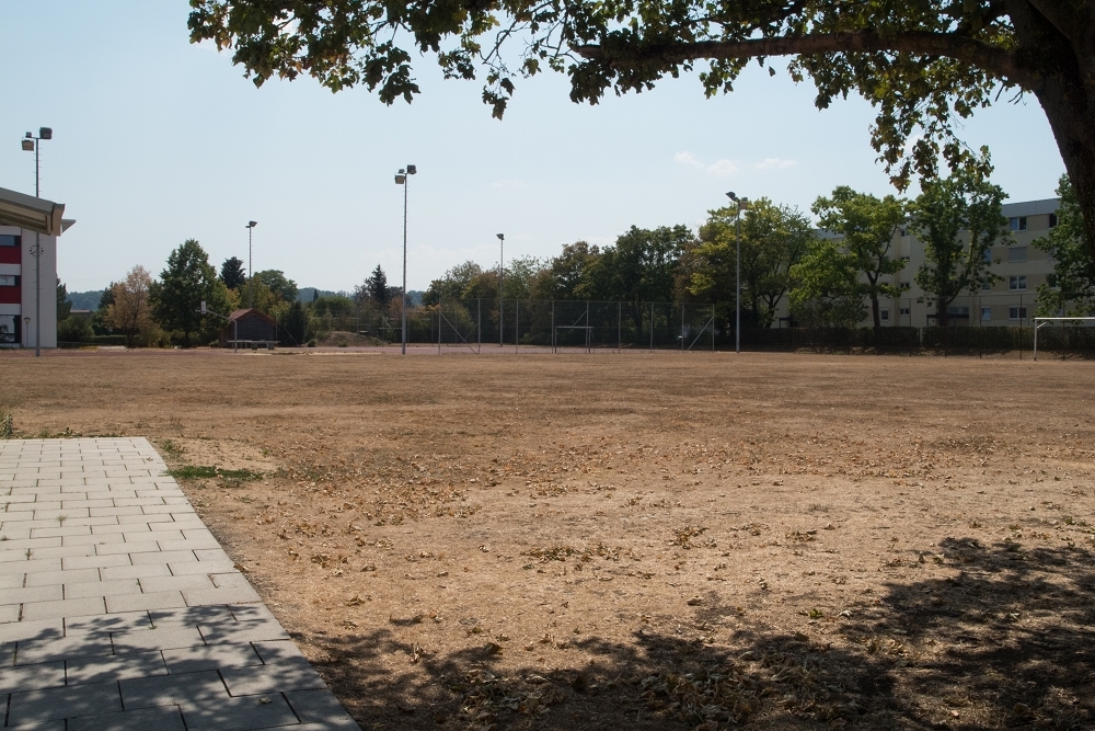 Trockenheit und Dauerhitze 2015