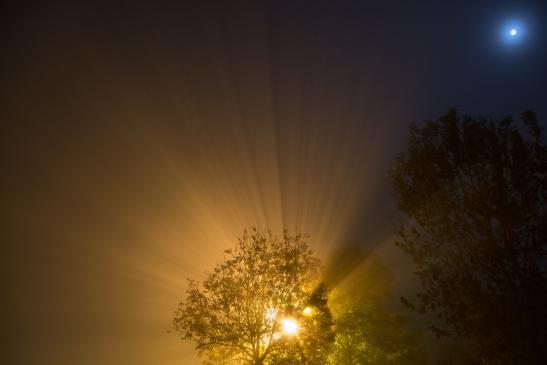 Vollmond und Nebel in der Nacht zum 27.10.2015... die Stimmung war so surreal!