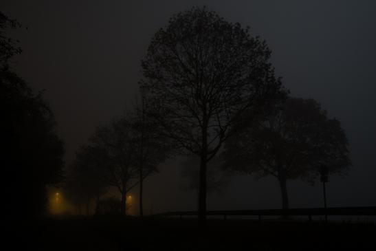 Nebel, Mondlicht und eine gruselige Umgebung mitten in der Nacht... was will man bitte mehr? :D